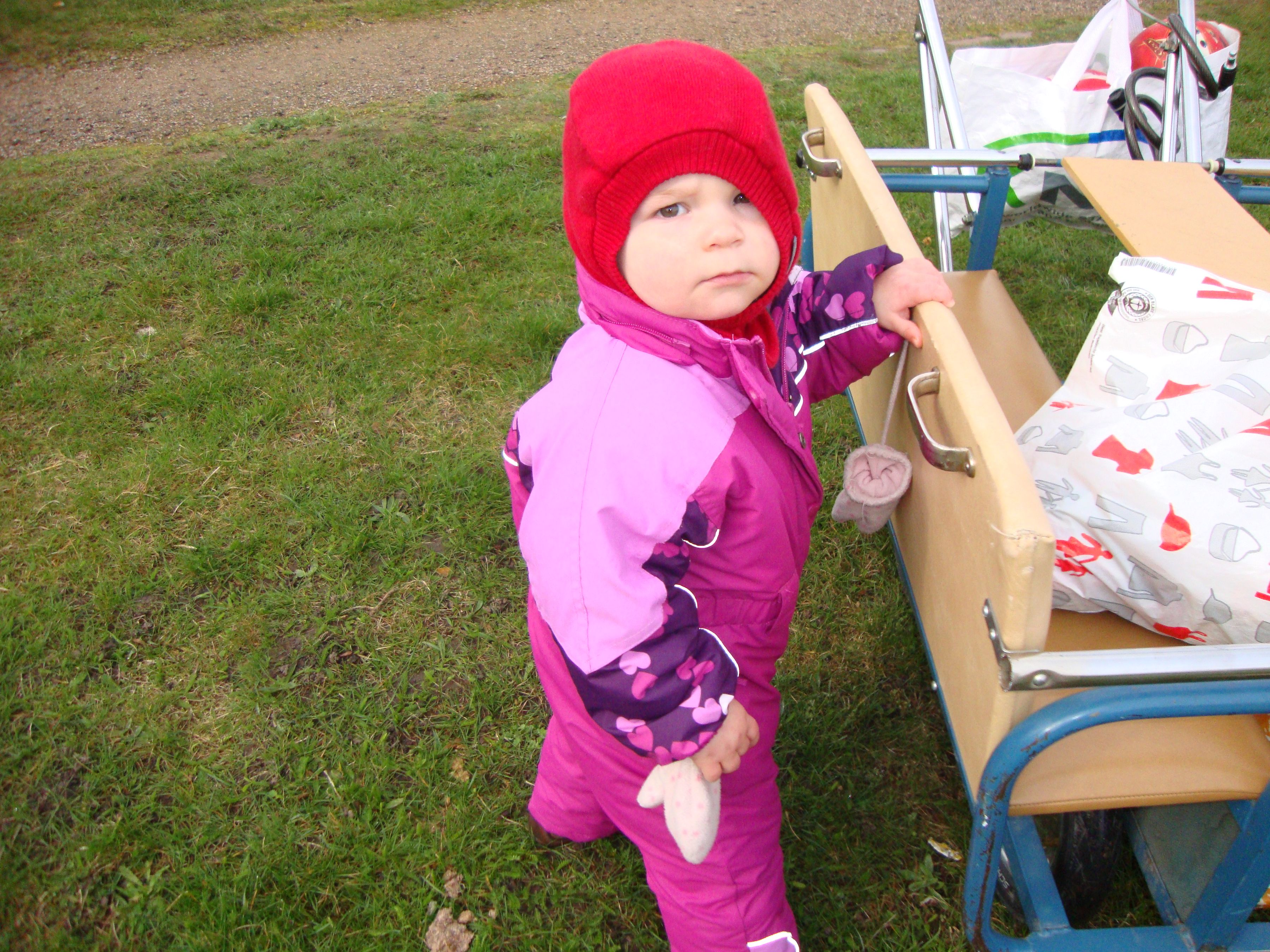 DSC00895.JPG